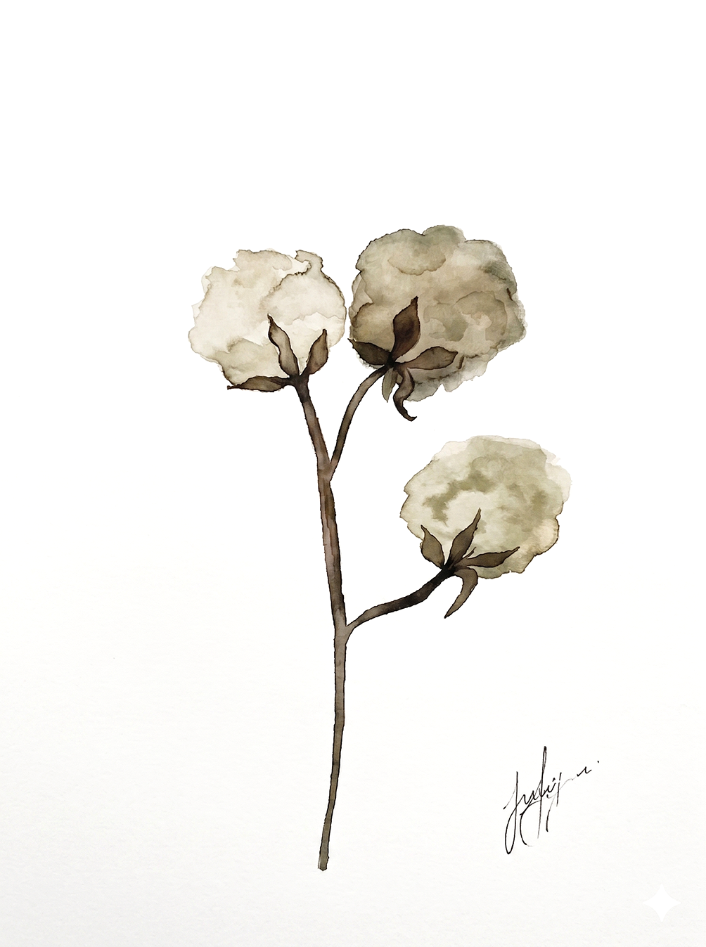 Wall Art Botanical Prints: Artwork 13