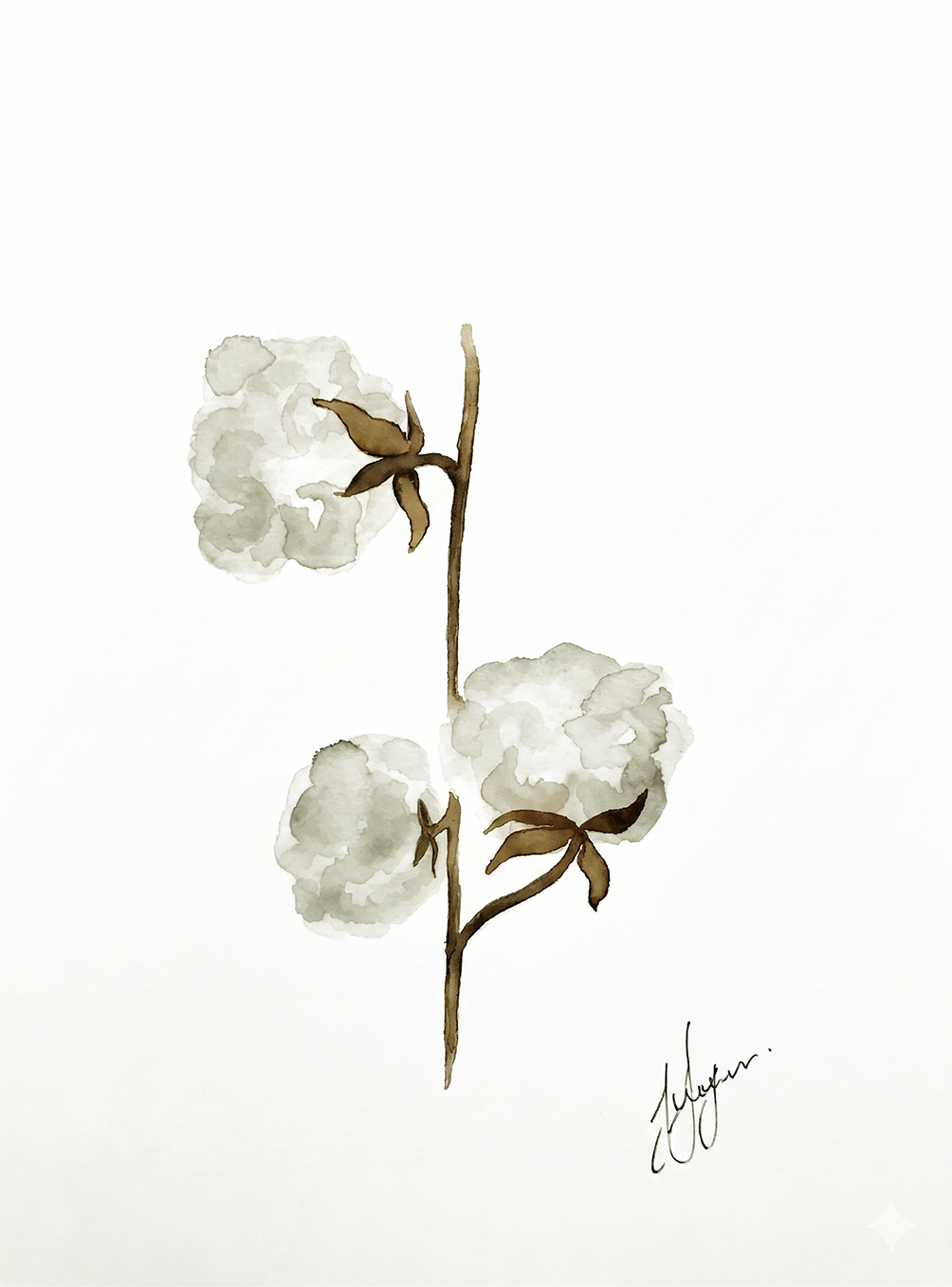Wall Art Botanical Prints: Artwork 14