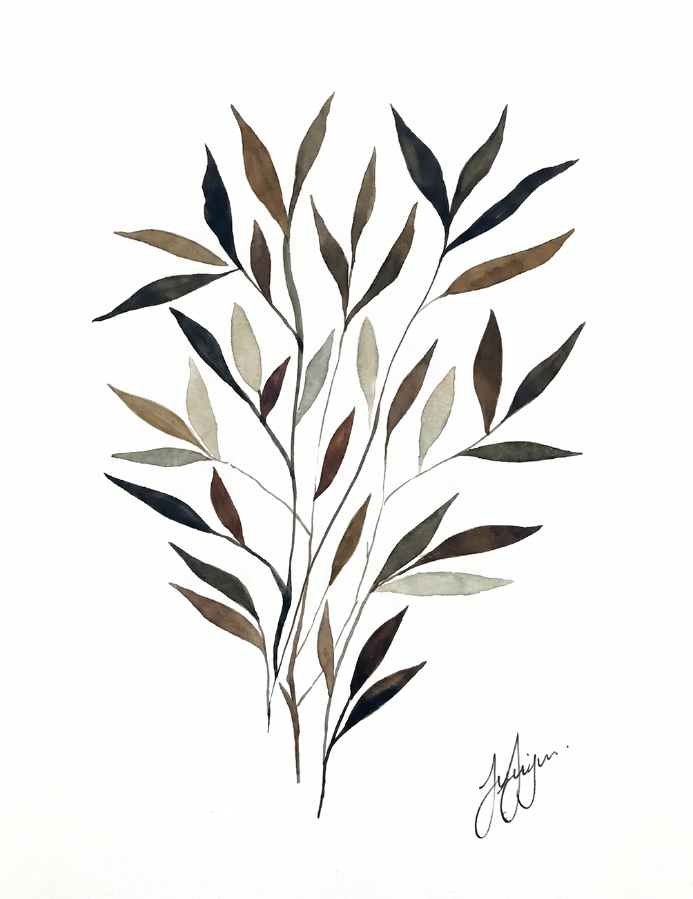 Wall Art Botanical Prints: Artwork 16