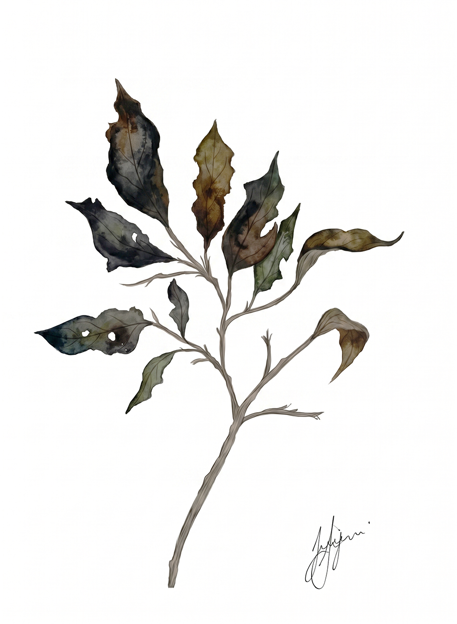 Wall Art Botanical Prints: Artwork 17