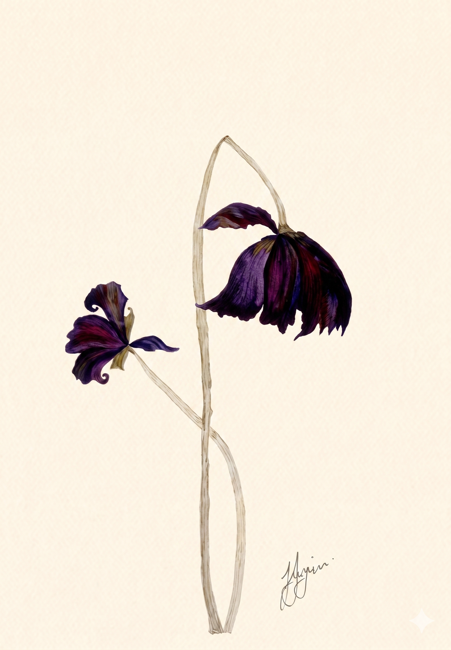 Wall Art Botanical Prints: Artwork 22