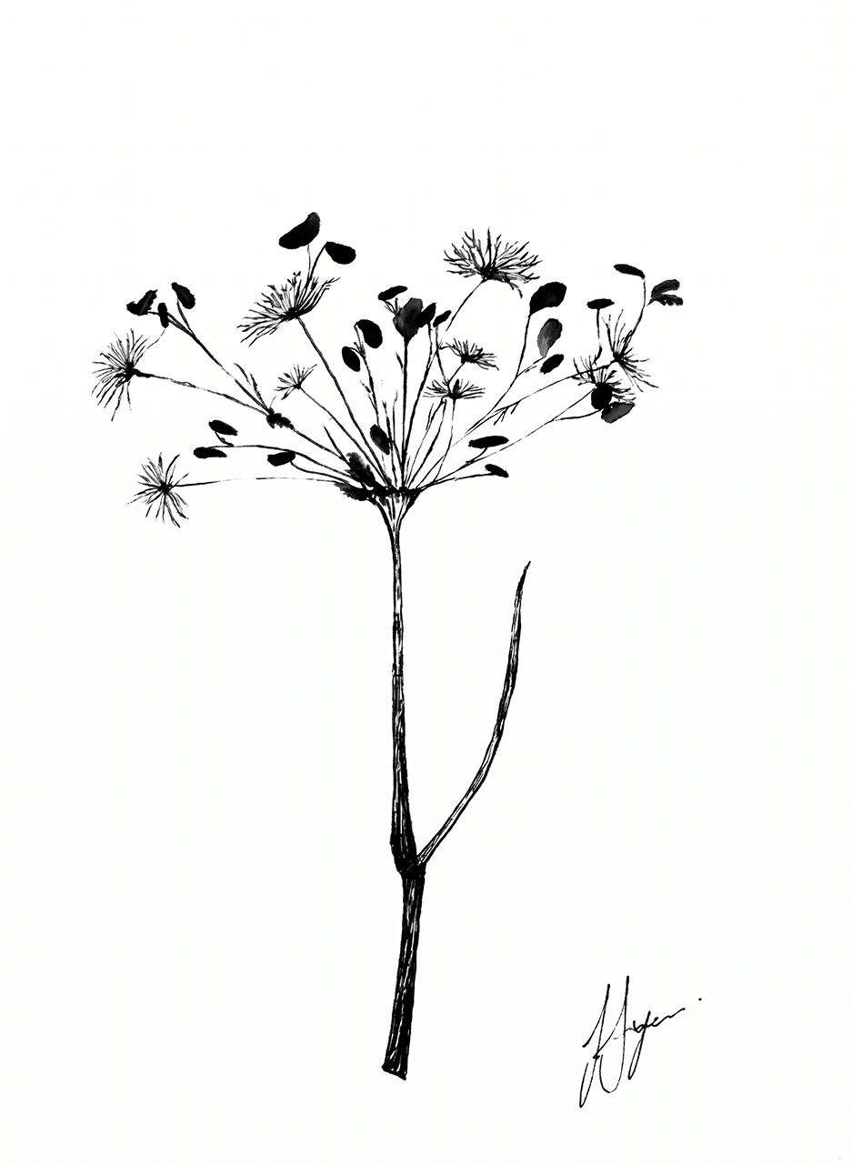 Wall Art Botanical Prints: Artwork 09