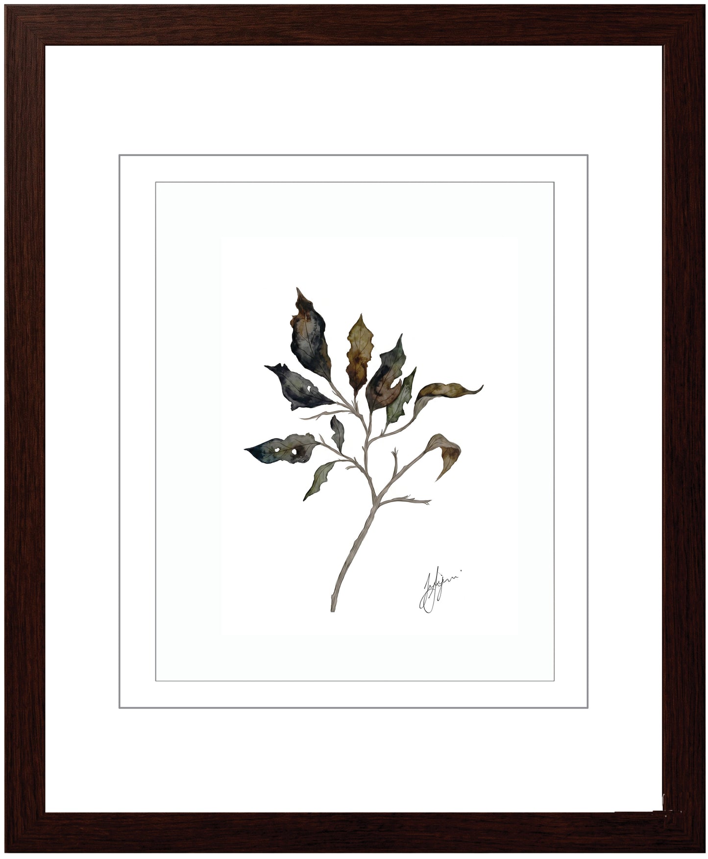 Wall Art Botanical Prints: Artwork 17