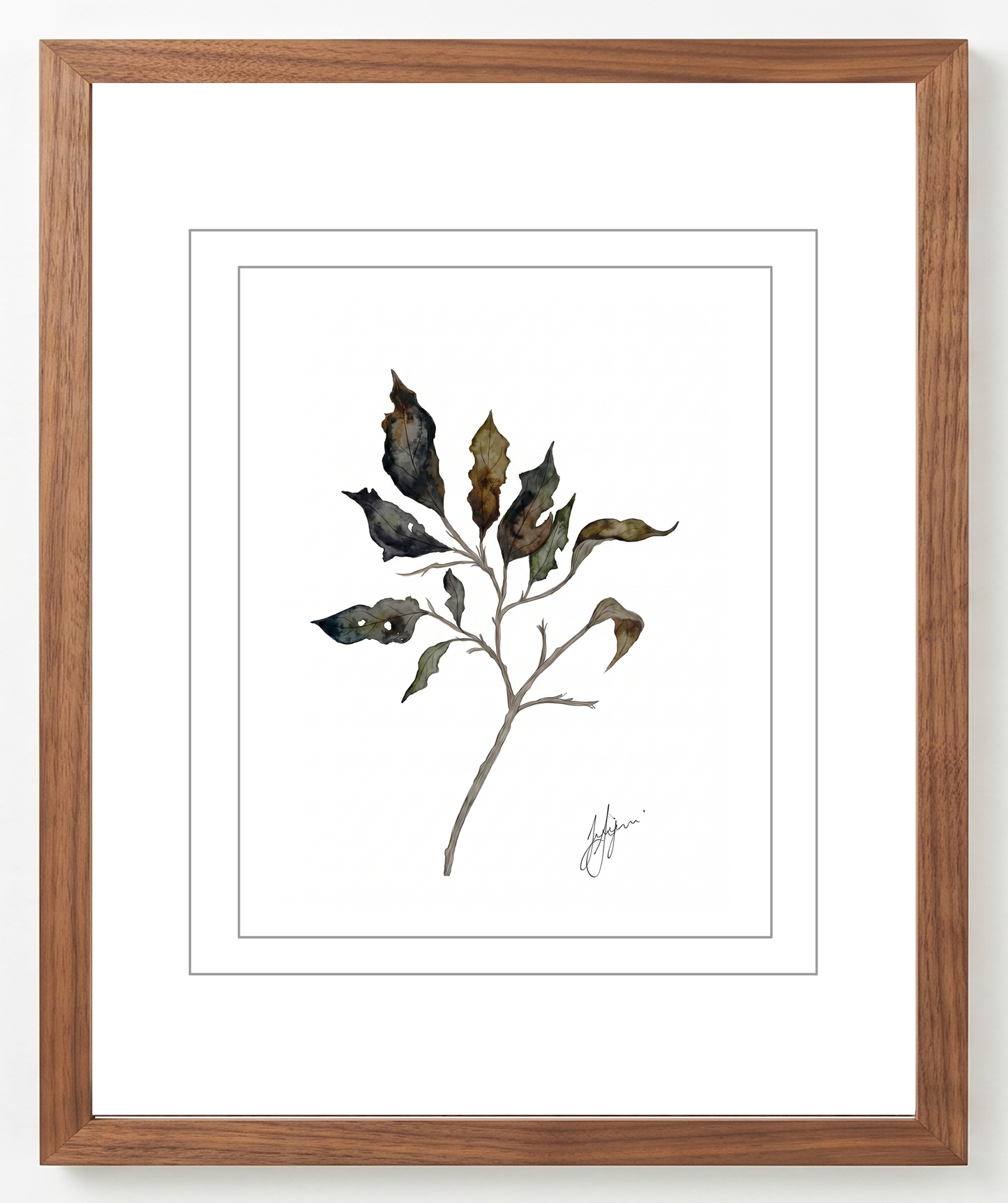 Wall Art Botanical Prints: Artwork 17