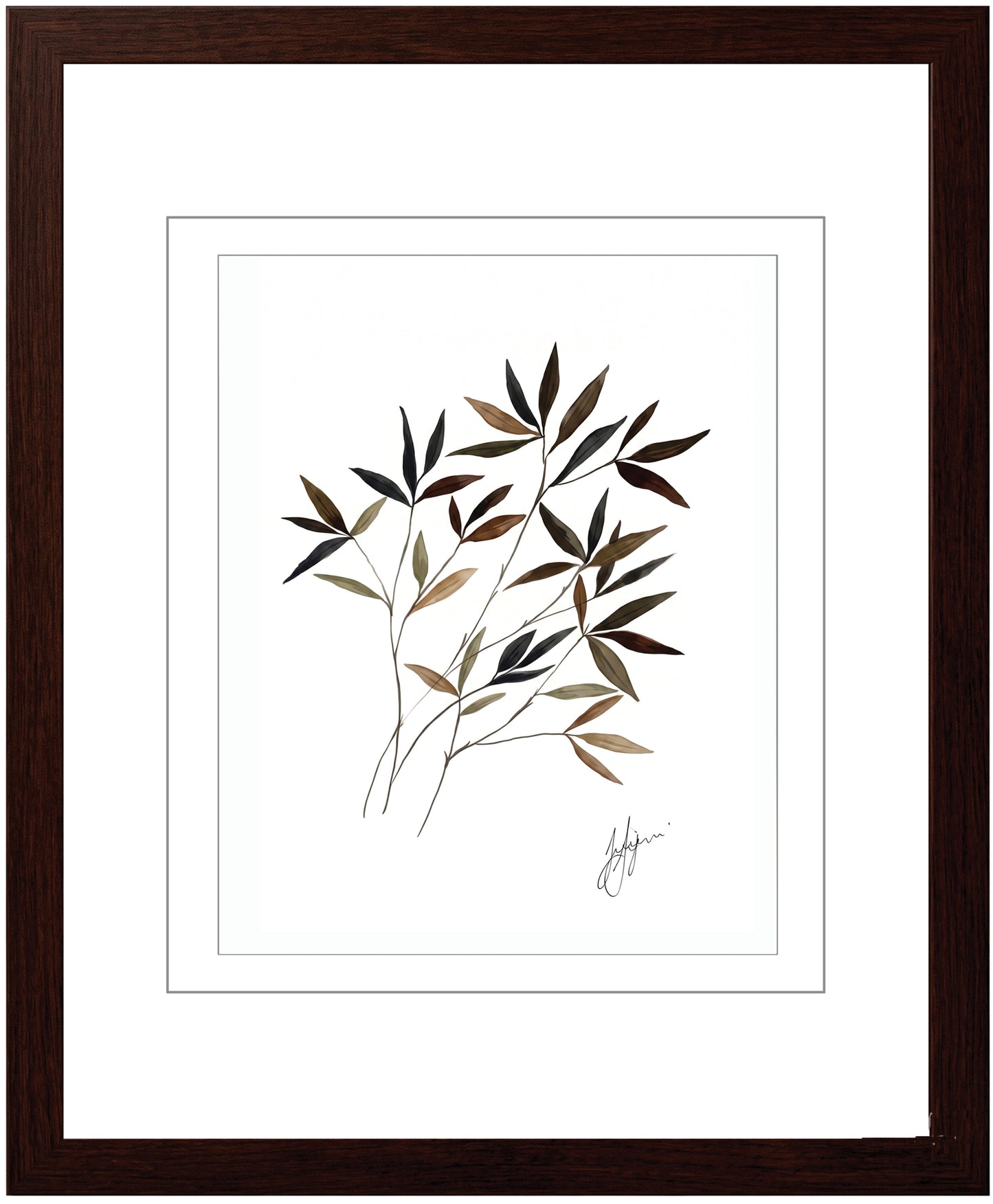 Wall Art Botanical Prints: Artwork 18