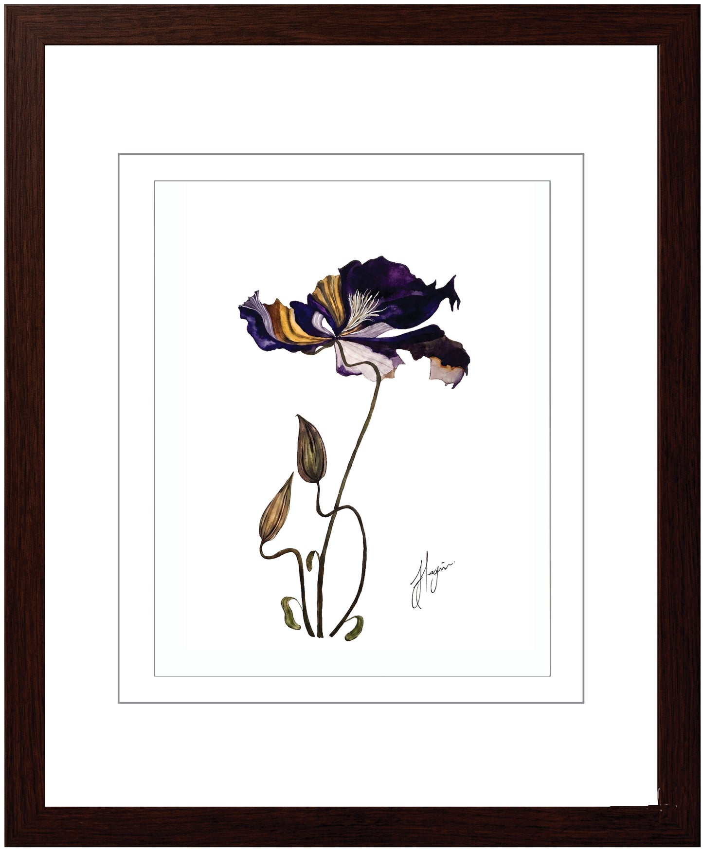 Wall Art Botanical Prints: Artwork 20
