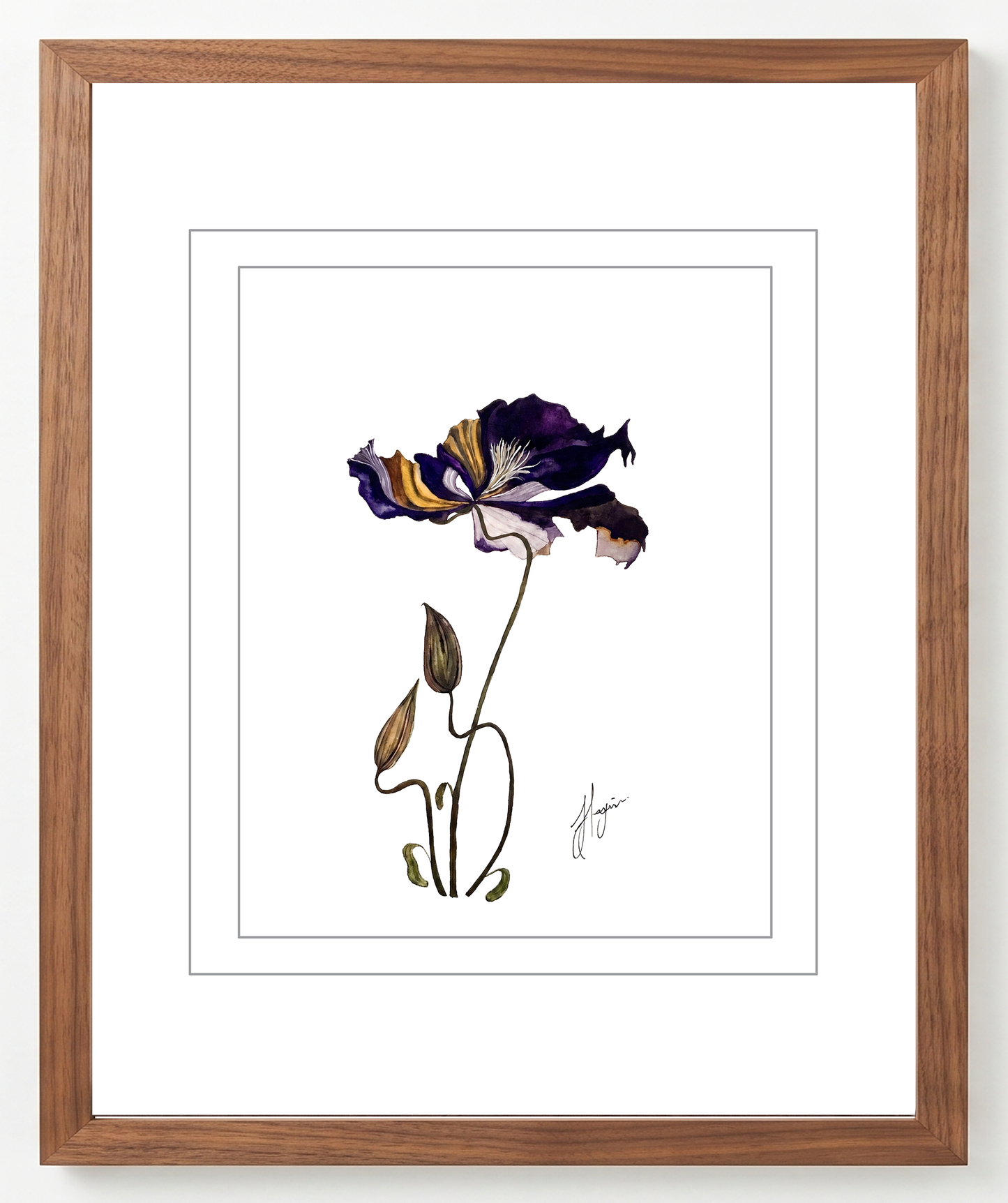 Wall Art Botanical Prints: Artwork 20