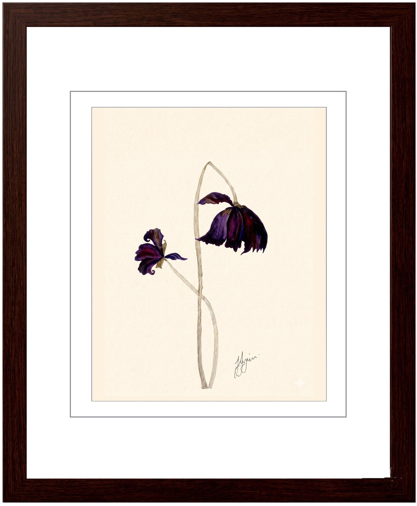 Wall Art Botanical Prints: Artwork 22