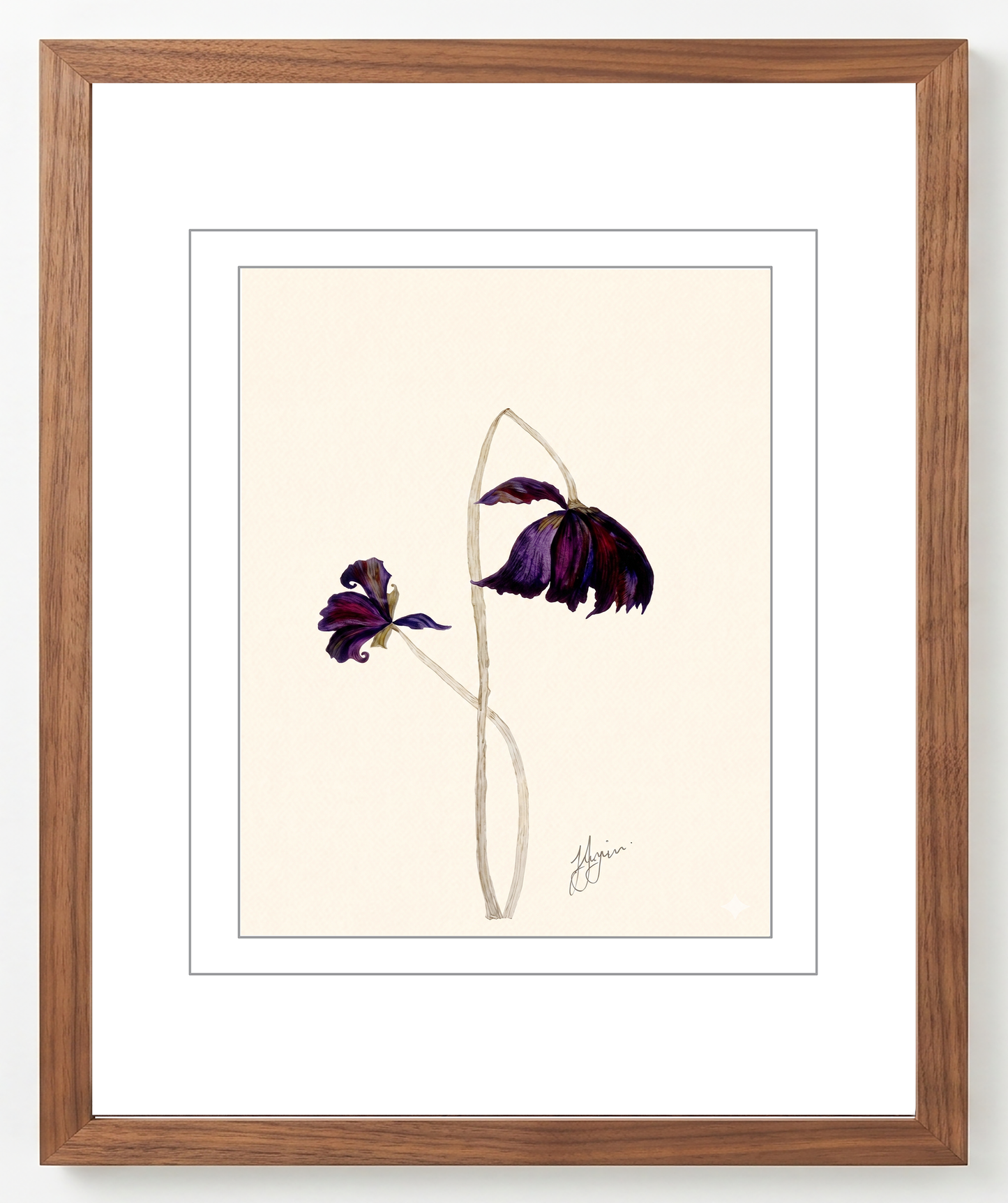 Wall Art Botanical Prints: Artwork 22