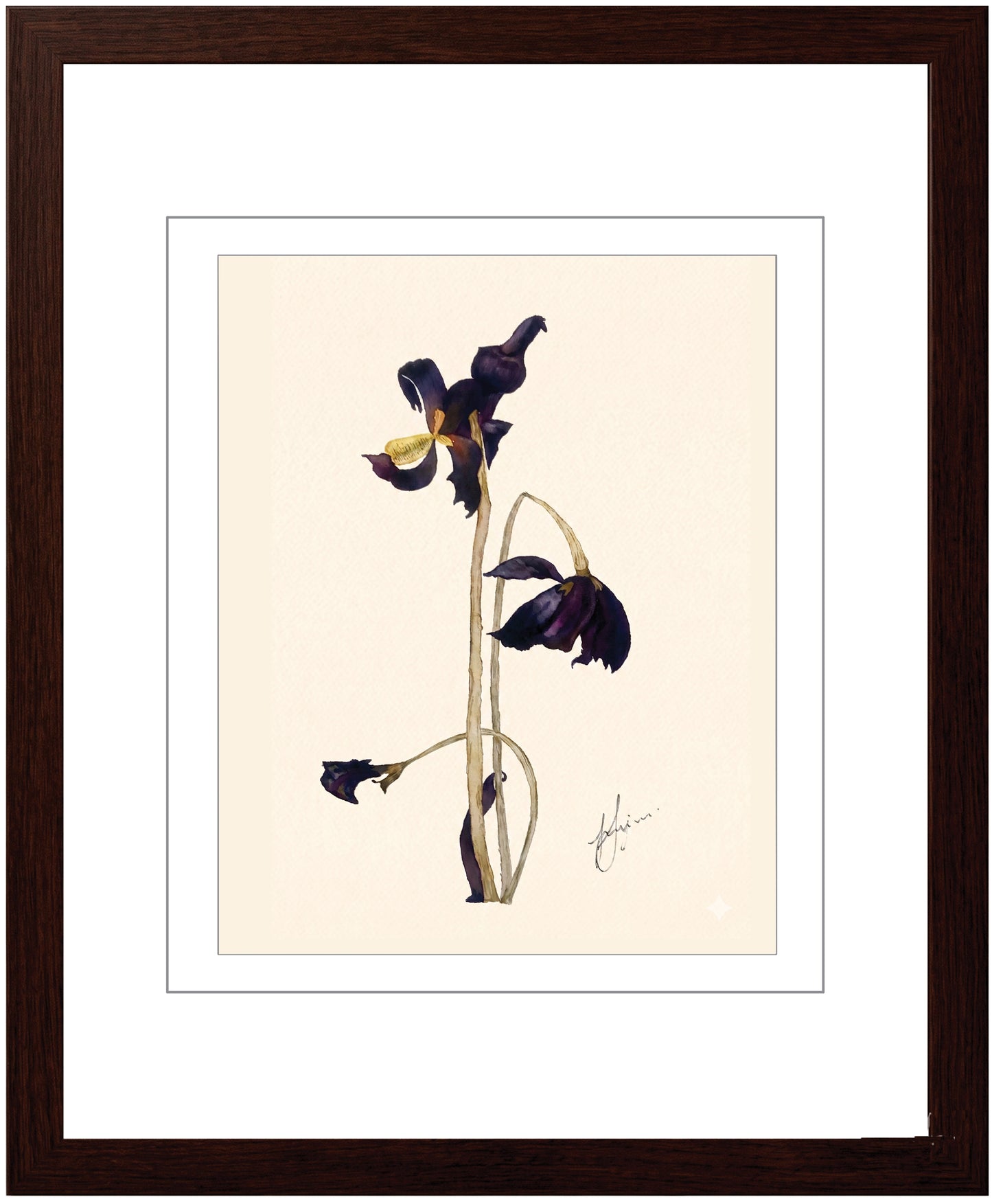 Wall Art Botanical Prints: Artwork 23