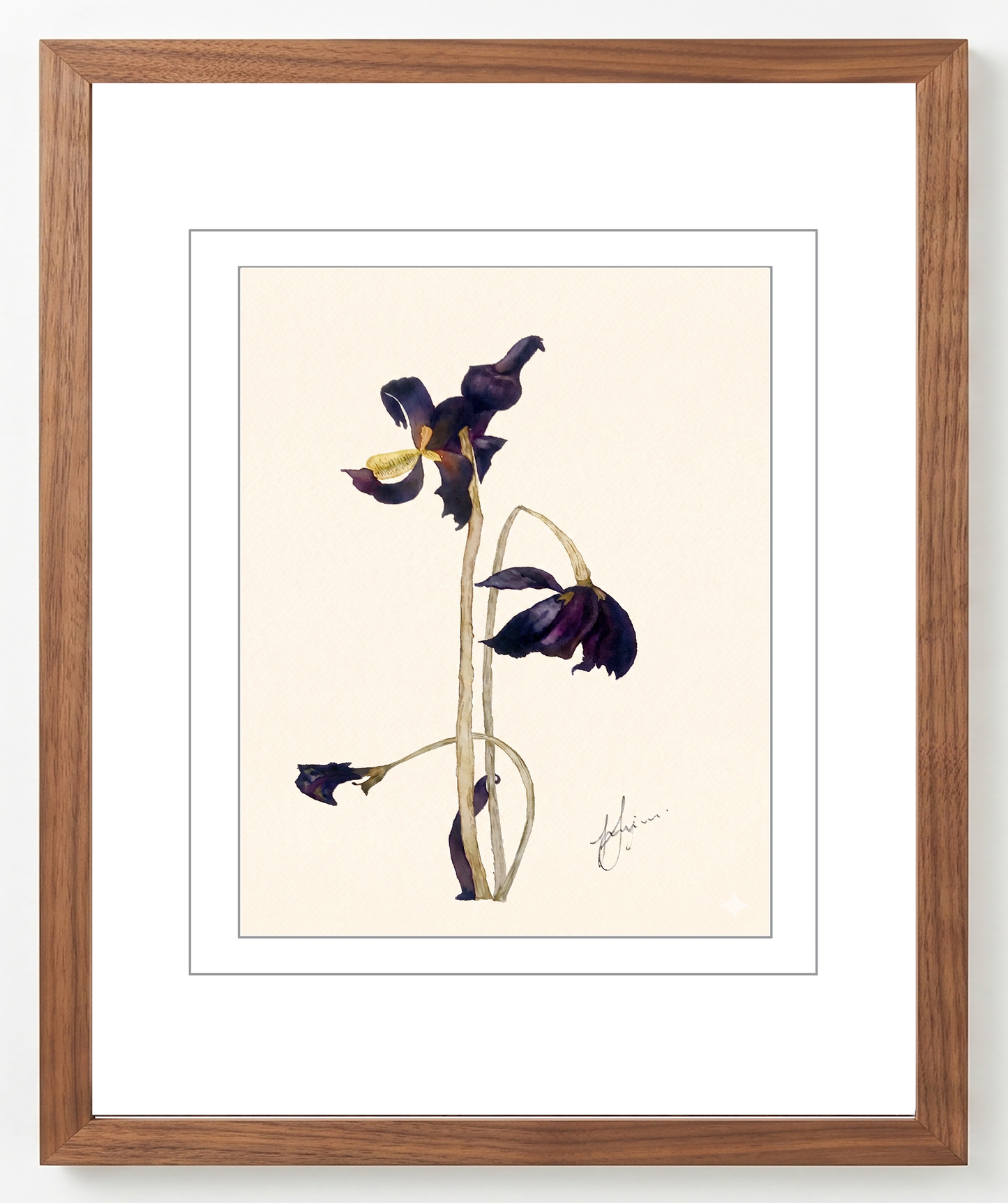 Wall Art Botanical Prints: Artwork 23