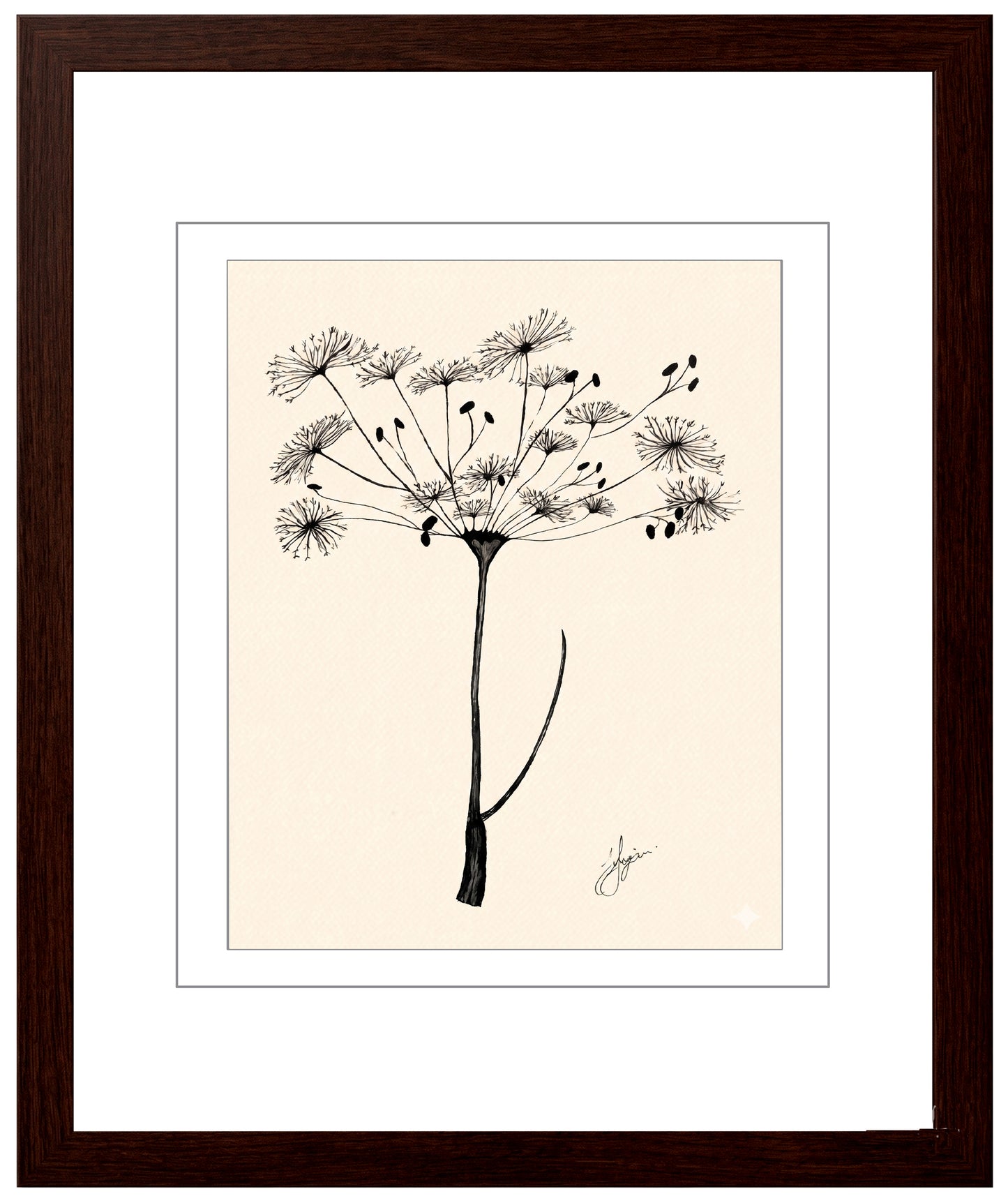 Wall Art Botanical Prints: Artwork 26
