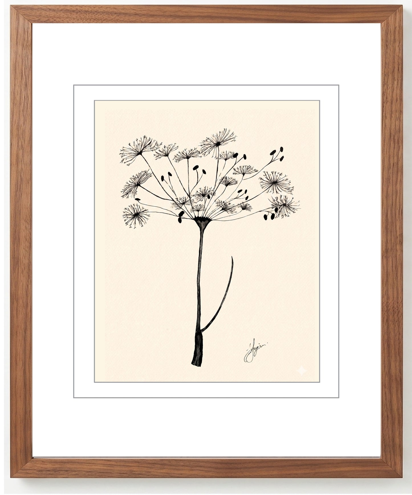 Wall Art Botanical Prints: Artwork 26