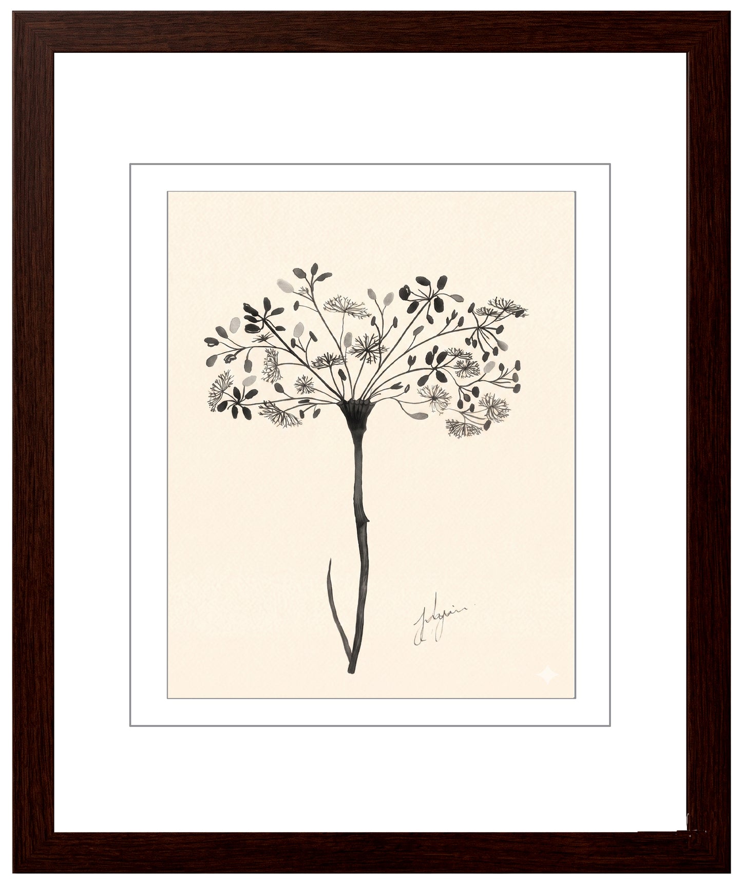 Wall Art Botanical Prints: Artwork 28