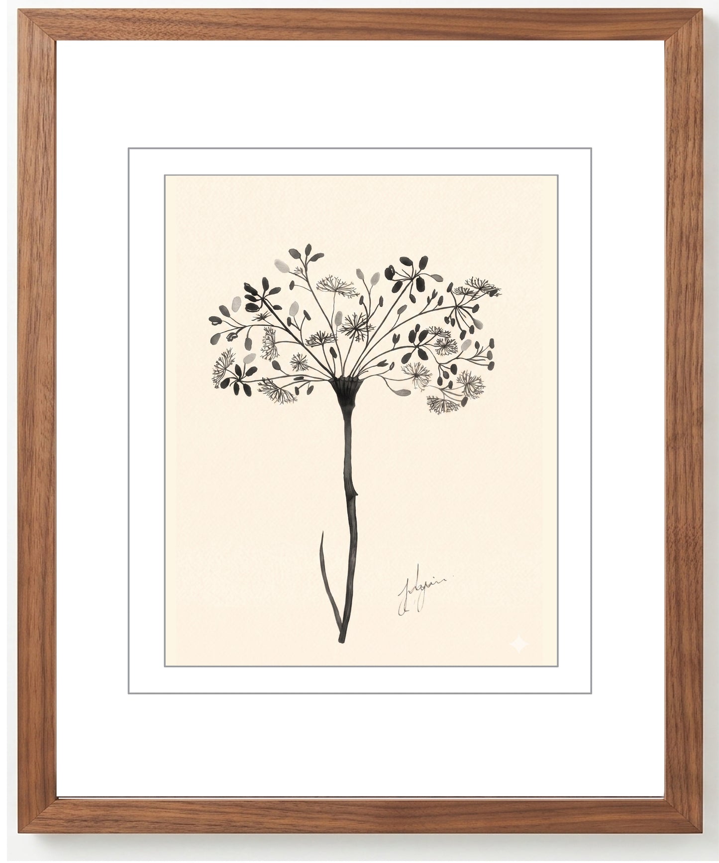 Wall Art Botanical Prints: Artwork 28