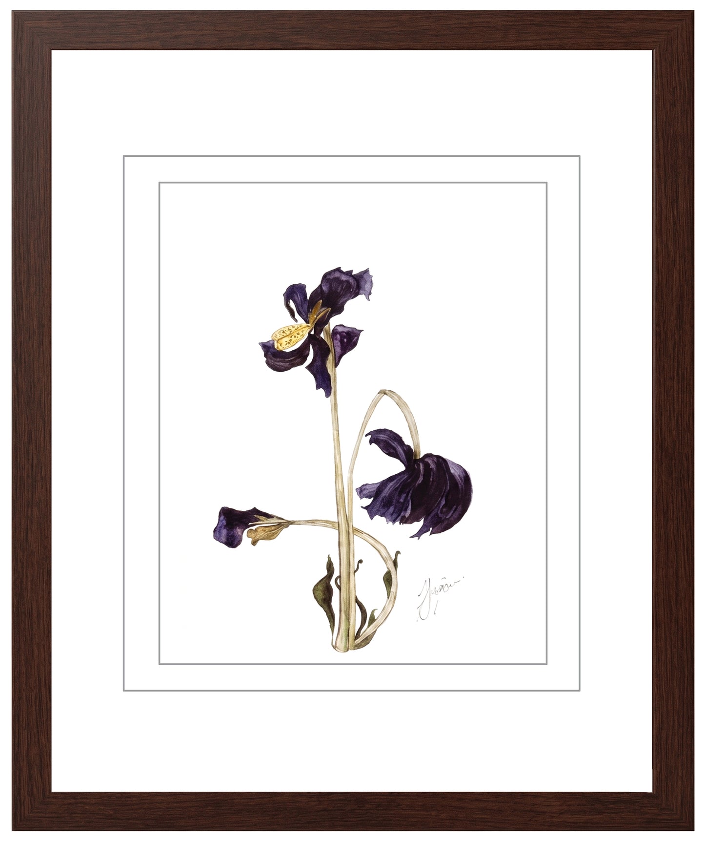 Wall Art Botanical Prints: Artwork 03