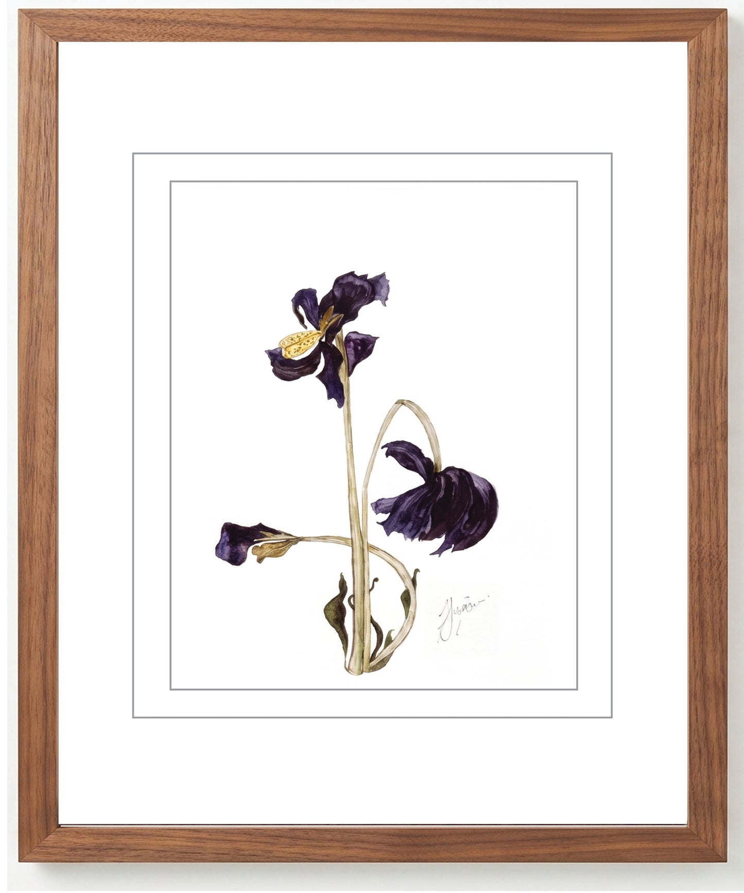 Wall Art Botanical Prints: Artwork 03