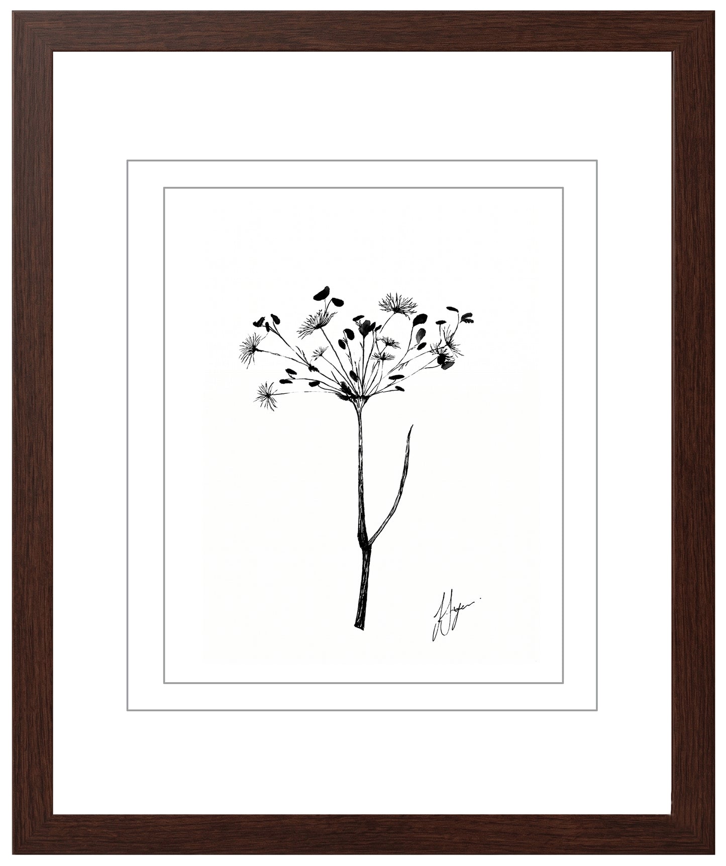Wall Art Botanical Prints: Artwork 09