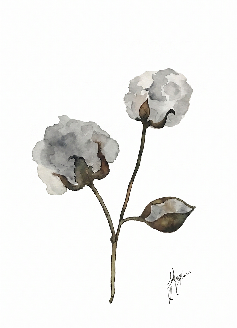 Wall Art Botanical Prints: Artwork 11