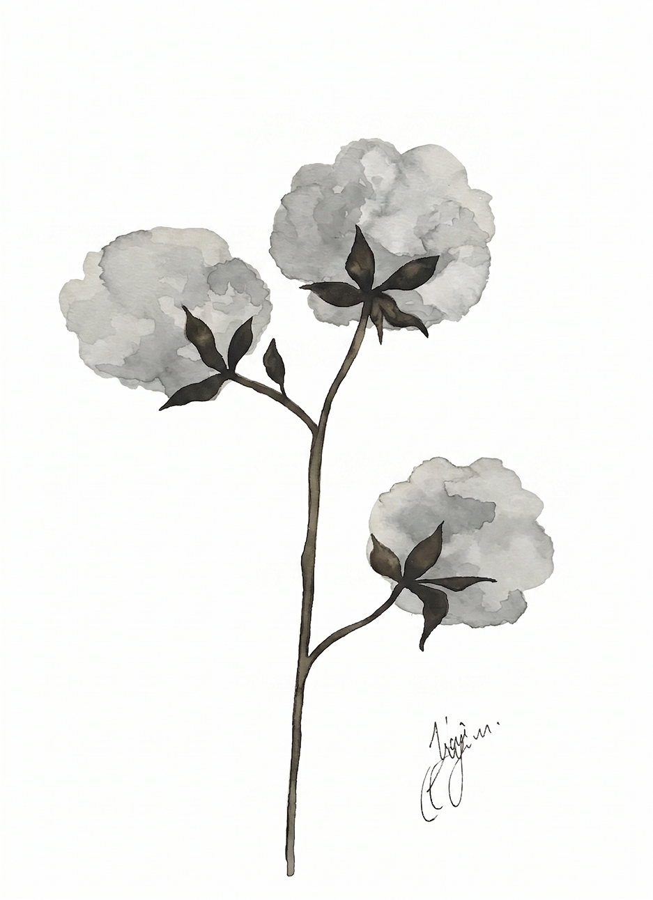 Wall Art Botanical Prints: Artwork 12