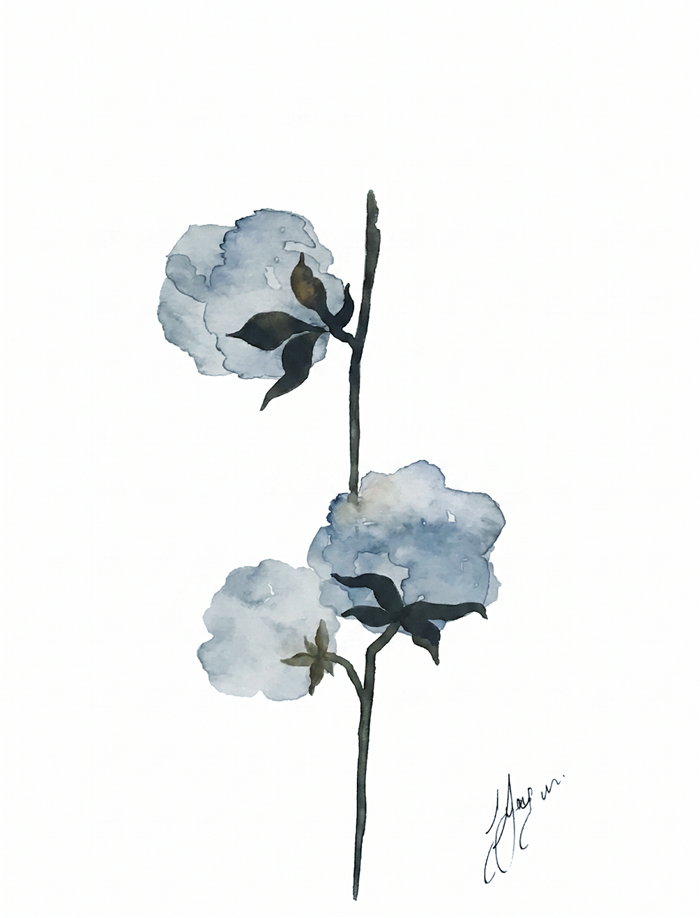 Wall Art Botanical Prints: Artwork 15