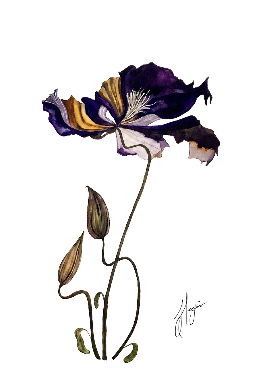 Wall Art Botanical Prints: Artwork 20