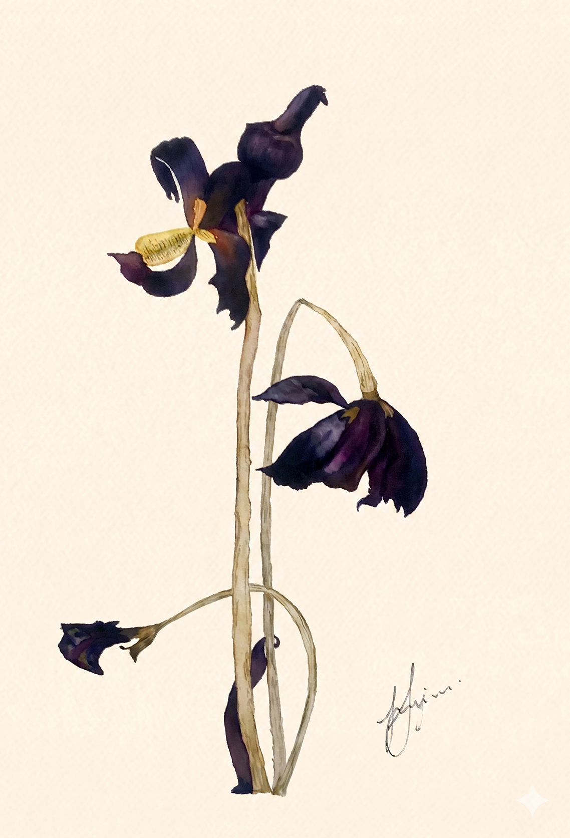 Wall Art Botanical Prints: Artwork 23