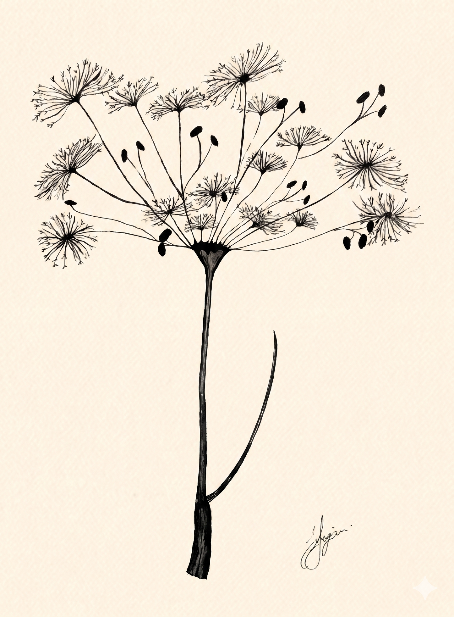 Wall Art Botanical Prints: Artwork 26