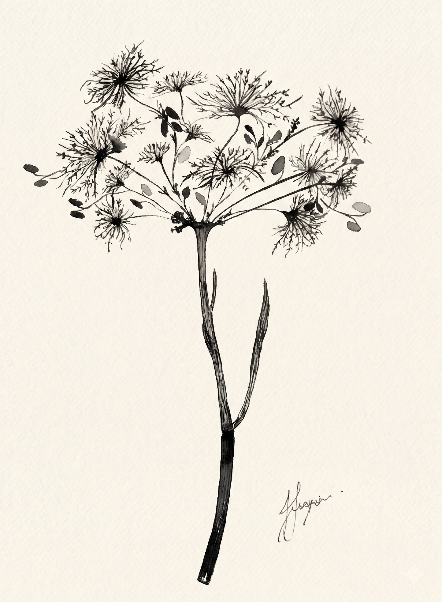 Wall Art Botanical Prints: Artwork 27