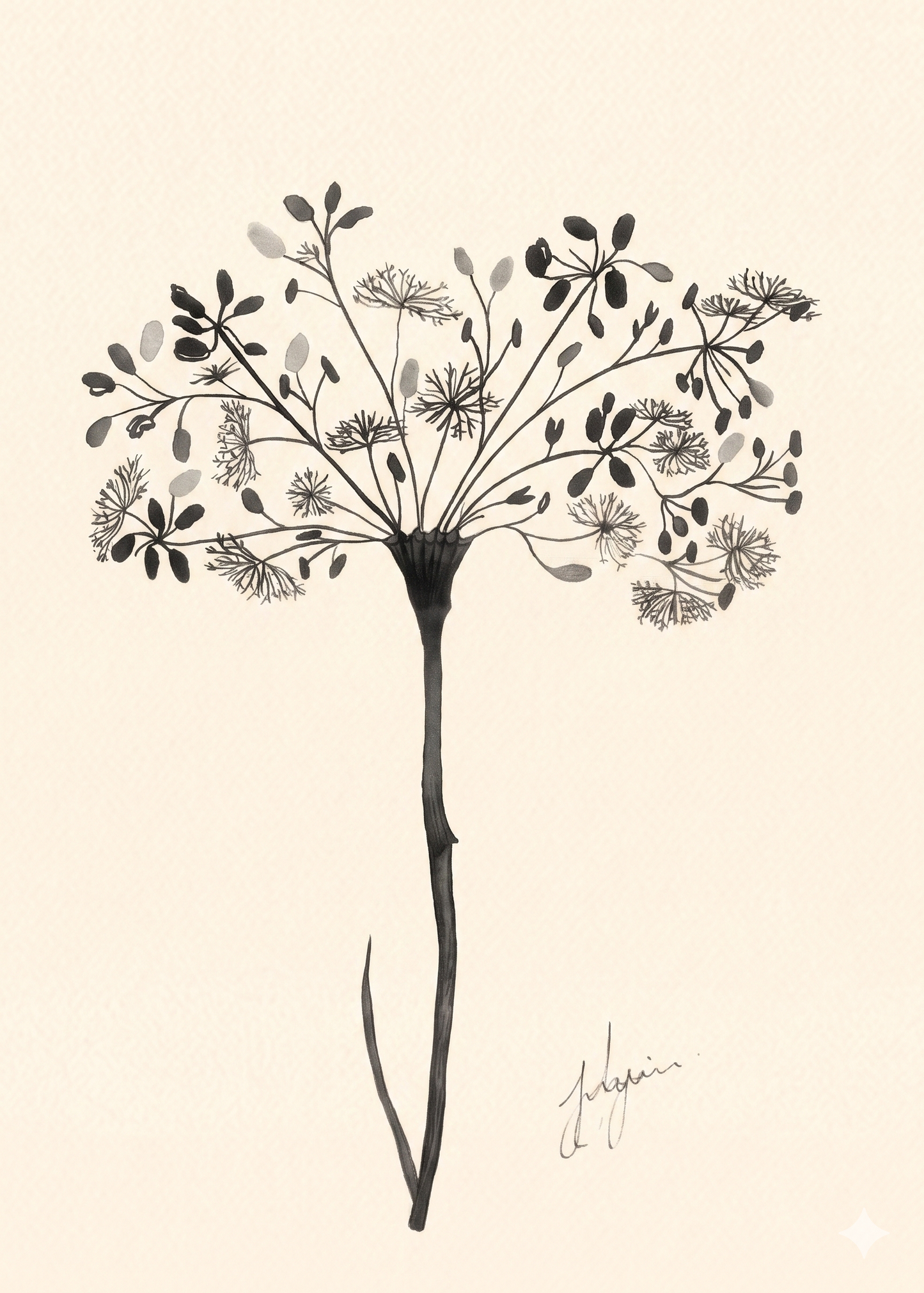 Wall Art Botanical Prints: Artwork 28